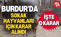 Burdur’da Sokak Hayvanları İçin Karar Alındı