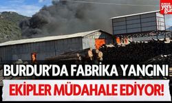 Burdur'da fabrikada yangın çıktı