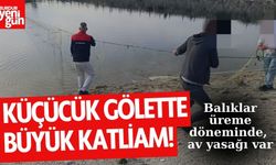 Küçücük gölette büyük katliam