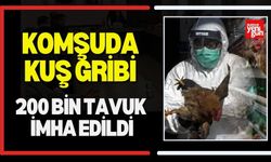 Komşuda Kuş Gribi! 200 Bin Tavuk İmha Edildi