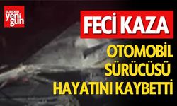 Feci Kaza: Otomobil Sürücüsü Hayatını Kaybetti