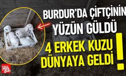 Burdur’da Çiftçinin Yüzünü Güldüren Doğum