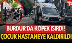 Burdur’da Küçük Çocuğu Köpek Isırdı, Hastaneye Kaldırıldı