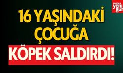 Köpeğin Saldırdığı Çocuk Yaralandı