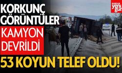 Devrilen Kamyondan 53 Koyun Telef Oldu
