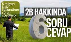 6 soruda 2B arazilerinde mülkiyet hakları ve tapu süreci