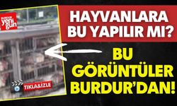 Bu Görüntüler Burdur’dan! Hayvanlara Bu Yapılır mı?