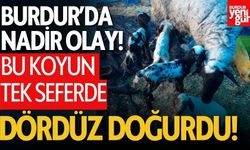 Burdur’da Görenleri Şaşkına Çeviren Doğum!