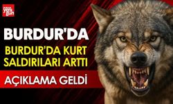 Burdur’da Kurt Saldırıları Arttı! Açıklama Geldi