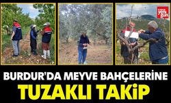 Burdur’da Meyve Bahçelerine Tuzaklı Takip