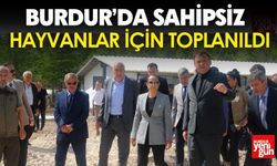Burdur’da Sahipsiz Hayvanlar İçin Toplanıldı