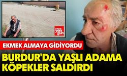 Burdur'da Yaşlı Adama Köpekler Saldırdı