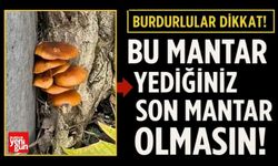 Burdurlular dikkat! Bu mantar yediğiniz son mantar olmasın!