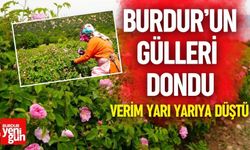 Burdur’un Gülleri Zor Günler Yaşıyor