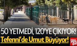 Tefenni’de Sokak Hayvanlarına Nefes Aldıracak Genişleme!