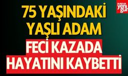 75 Yaşındaki Sürücü Feci Kazada Yaşamını Yitirdi