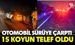 Otomobil Sürüye Çarptı 15 Koyun Telef Oldu