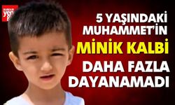 Minik Kalbi Daha Fazla Dayanamadı