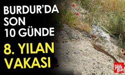 Burdur’da Son 10 Günde 8. Yılan Vakası