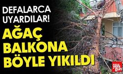 Defalarca Uyardılar! Ağaç Balkona Böyle Yıkıldı