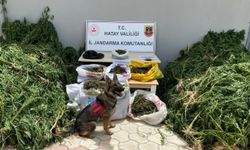 Hatay'da uyuşturucu ve kaçakçılık operasyonlarında 83 şüpheli yakalandı