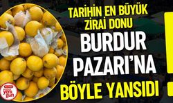 Zirai Don Sonrası Burdur Pazarında Fiyatlar Nasıl ?