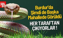 Burdur'da Şimdi De Başka Mahallede Görüldü