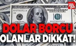 Döviz Kurunda Yükseliş Sürüyor
