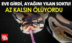 Eve Girdi, Ayağını Yılan Soktu!