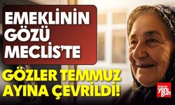 Emeklinin Gözü Meclis’te