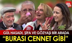 Lisinia’da Gül Hasadı, Şifa ve Gözyaşı Bir Arada