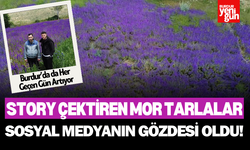 Story Çektiren Mor Tarlalar: Hanımeli Çiçeği Sosyal Medyanın Gözdesi Oldu!