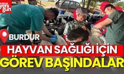 Burdur'da Hayvan Sağlığı İçin Görev Başındalar!
