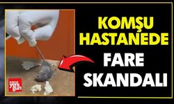 Komşu Hastanede Fare Skandalı