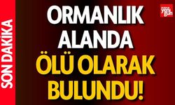 Ormanlık Alanda Ölü Olarak Bulundu