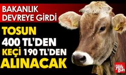 Tosun 400 TL’den, Keçi 190 TL’den Alınacak