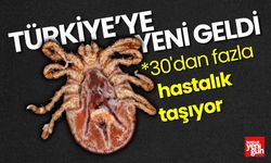 Türkiye'ye Yeni Geldi 30'dan Fazla Hastalık Taşıyor