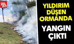 Yıldırım Düşen Ormanda Yangın Çıktı