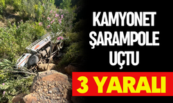Kamyonet şarampole uçtu: 3 yaralı