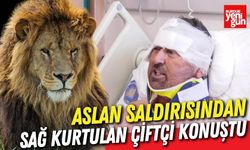 Aslan Saldırısından Sağ Kurtulan Çiftçi Konuştu