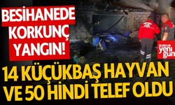 Besihane yangını: 14 küçükbaş hayvan ve 50 hindi telef oldu