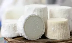Türkiye’nin En Pahalı Peyniri! Kilosu Altınla Yarışıyor