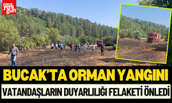 Kayı Köyü'nde Orman Yangını Büyümeden Söndürüldü