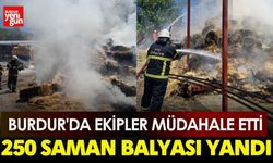 Burdur'da 250 Saman Balyası Yandı