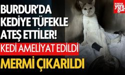 Burdur’da Kedi Havalı Tüfekle Vuruldu!