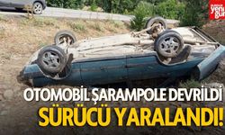 Otomobil Şarampole Devrildi, Sürücü Yaralandı