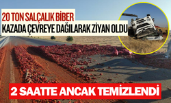 20 ton salçalık biber kazada çevreye dağılarak ziyan oldu