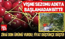 Vişne sezonu adeta başlamadan bitti!