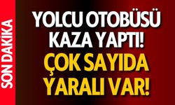 Yolcu Otobüsü Ağaçlara Çarptı! Yaralılar Var
