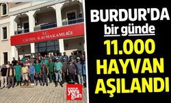 Burdur'da 11.000 Hayvan Aşılandı